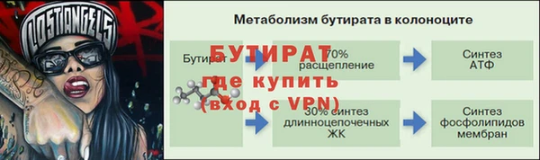 твердый Гусев